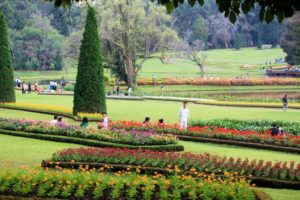 National Kandawgyi Botanical Gardens 